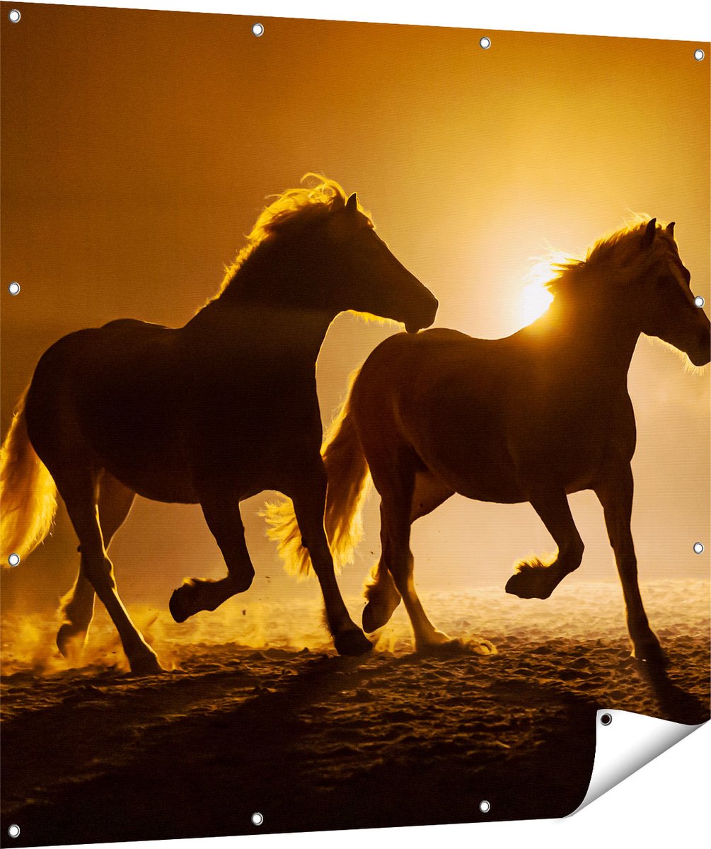Gards Tuinposter Silhouet van Twee Paarden - 120x120 cm - Tuindoek - Tuindecoratie - Wanddecoratie buiten - Tuinschilderij Multikleur