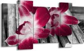 GroepArt - Schilderij - Bloem - Rood, Wit, Grijs - 120x65 5Luik - Foto Op Canvas - GroepArt 6000+ Schilderijen 0p Canvas Art Collectie - Wanddecoratie