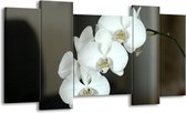 GroepArt - Schilderij - Orchidee - Wit, Zwart, Grijs - 120x65 5Luik - Foto Op Canvas - GroepArt 6000+ Schilderijen 0p Canvas Art Collectie - Wanddecoratie