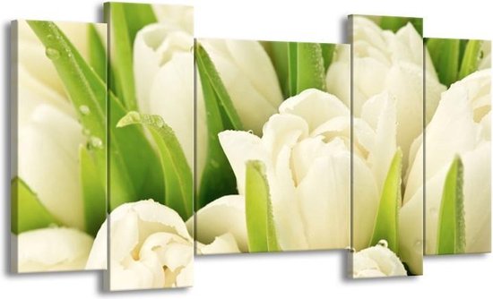 Canvas schilderij Tulpen | Wit, Groen | | F005785