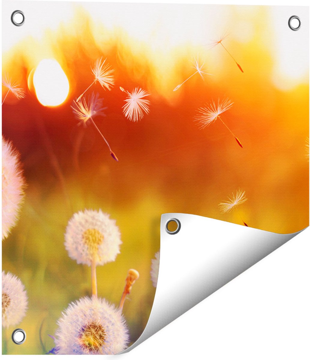 Gards Tuinposter Paardenbloemen tijdens Zonsondergang - 40x40 cm - Tuindoek - Tuindecoratie - Wanddecoratie buiten - Tuinschilderij Multikleur