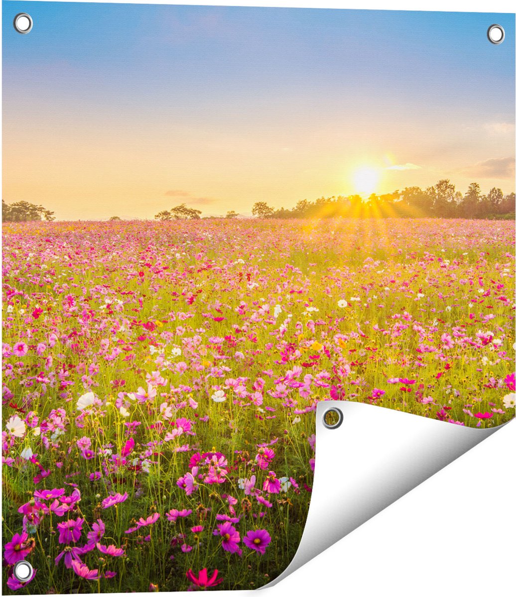 Gards Tuinposter Bloemenveld met Roze Kosmos - 50x50 cm - Tuindoek - Tuindecoratie - Wanddecoratie buiten - Tuinschilderij Multikleur