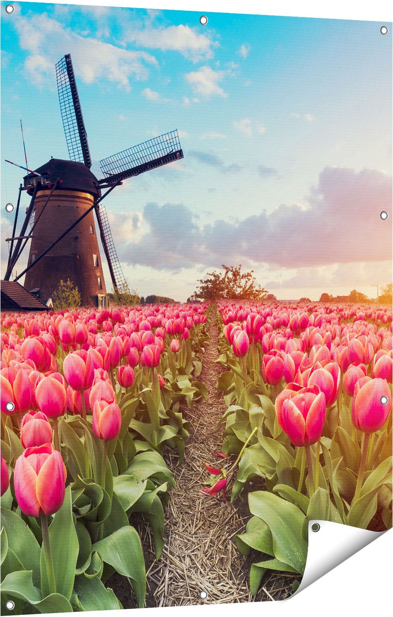 Gards Tuinposter Roze Tulpen Bloemenveld - met Windmolen - 90x120 cm - Tuindoek - Tuindecoratie - Wanddecoratie buiten - Tuinschilderij Multikleur