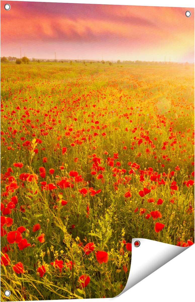 Gards Tuinposter Rode Klaproos Bloemenveld - Zonsondergang - 60x80 cm - Tuindoek - Tuindecoratie - Wanddecoratie buiten - Tuinschilderij Multikleur