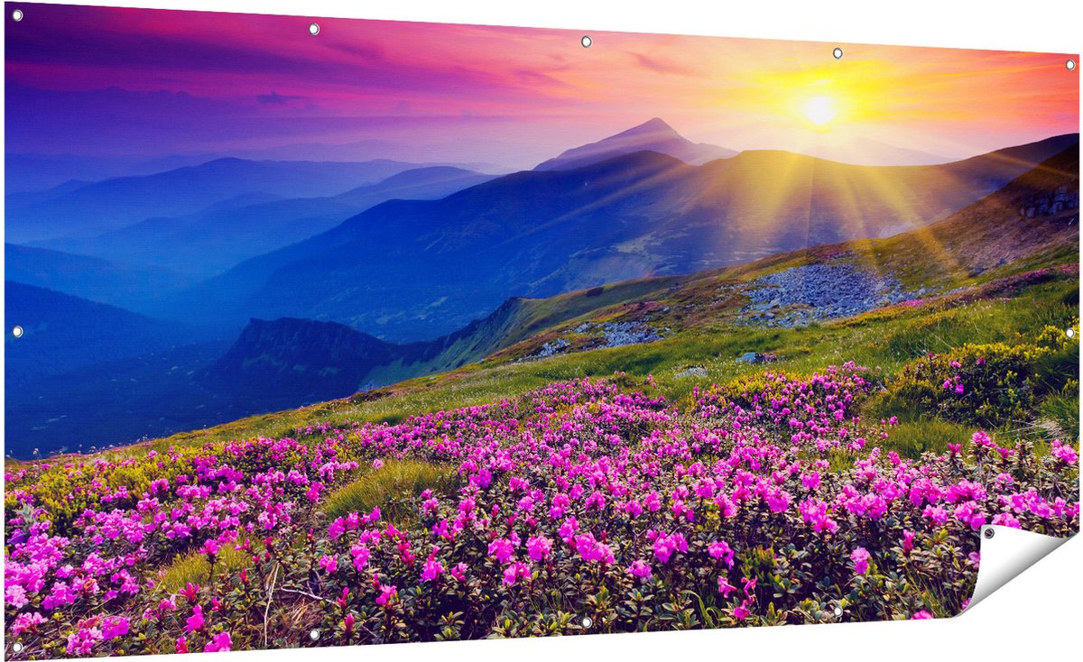 Gards Tuinposter Roze Rhododendron Bloemenveld - Bergen - 200x100 cm - Tuindoek - Tuindecoratie - Wanddecoratie buiten - Tuinschilderij Multikleur