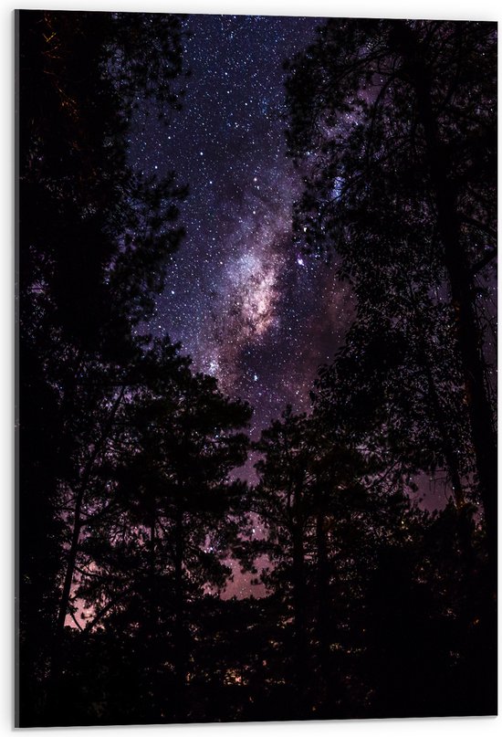 Acrylglas - Heldere Galaxy Hemel tussen de Boomtoppen van het Bos - 50x75 cm Foto op Acrylglas (Met Ophangsysteem)
