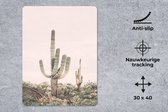 Muismat Groot - Cactus - Groen - Natuur - Planten - 30x40 cm - Mousepad - Muismat