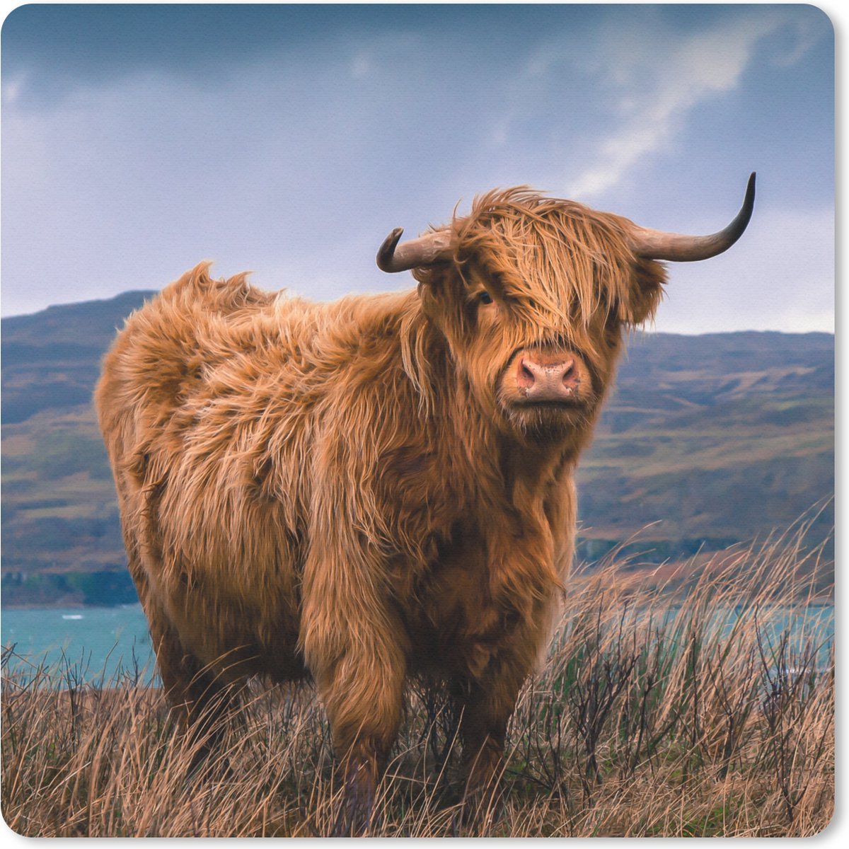 Muismat 30x30 cm - Mousepad Schotse Hooglander - Berg - Water - Natuur - Koe - Muismatten