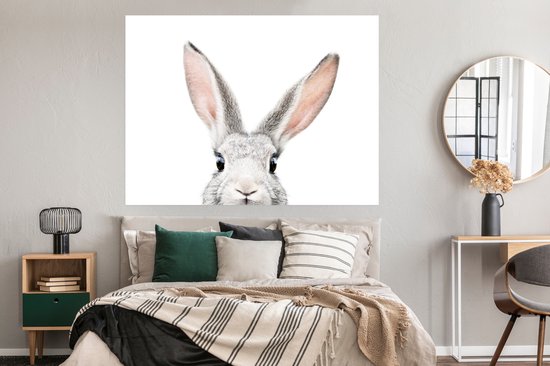 Poster Lapin - Animaux - Nature - Wit - 160x120 cm XXL