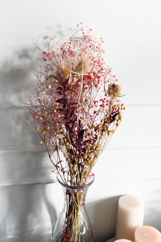 Décoration En Herbe De La Pampa Séchée, 100 Pièces D'herbe De