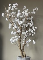 Seta Fiori - Cherry blossom – Rituals blossom – 150cm – wit – *AANBIEDING*
