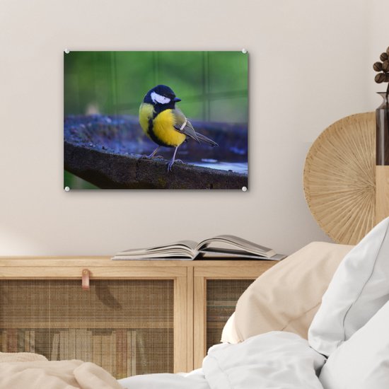 MuchoWow® Peinture sur verre 40x30 cm - Peinture sur verre acrylique - Mésange charbonnière sur un bain d'oiseaux en granit - Photo sur verre - Peintures