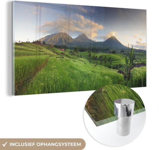 MuchoWow® Glasschilderij 40x20 cm - Schilderij acrylglas - Rijsveldenop Bali - Foto op glas - Schilderijen