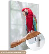 MuchoWow® Glasschilderij 30x40 cm - Schilderij acrylglas - Rode ara fotoafdruk - Foto op glas - Schilderijen