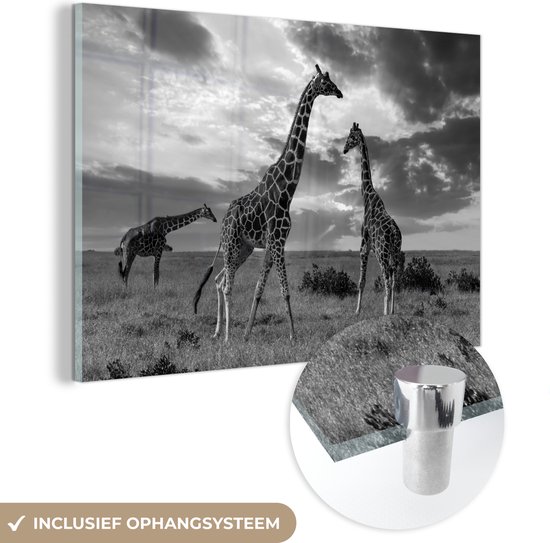 MuchoWow® Glasschilderij 60x40 cm - Schilderij acrylglas - Giraffes in Savanne - zwart wit - Foto op glas - Schilderijen