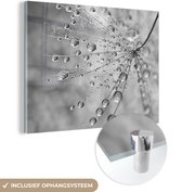 MuchoWow® Glasschilderij 160x120 cm - Schilderij acrylglas - Waterdruppels op een paardenbloem - zwart wit - Foto op glas - Schilderijen
