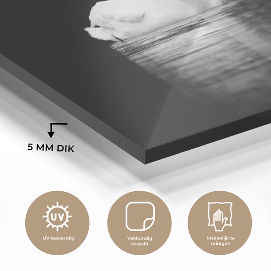 MuchoWow® Tableau en verre 150x100 cm - Peinture acrylique sur verre - Cygnes sur fond noir - noir blanc - Photo sur verre - Tableaux