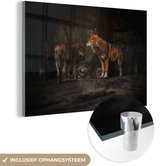 MuchoWow® Glasschilderij 90x60 cm - Schilderij acrylglas - Wolf - Dieren - Bos - Foto op glas - Schilderijen