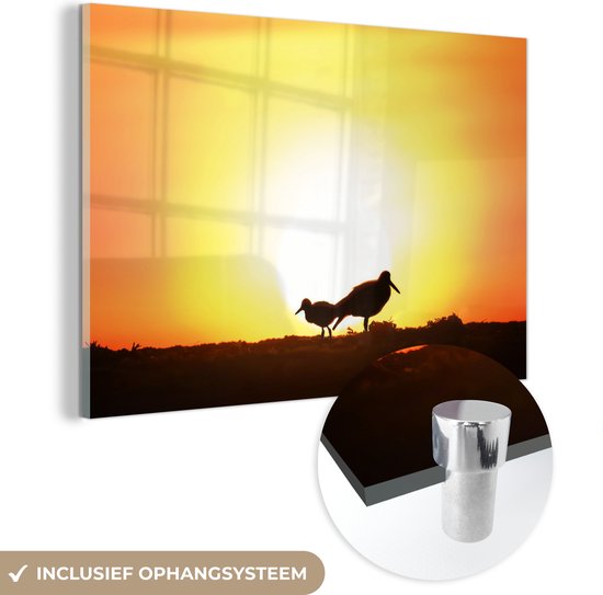 MuchoWow® Glasschilderij 30x20 cm - Schilderij acrylglas - Een scholekster met een jonge scholekster tijdens een zonnige ochtend - Foto op glas - Schilderijen