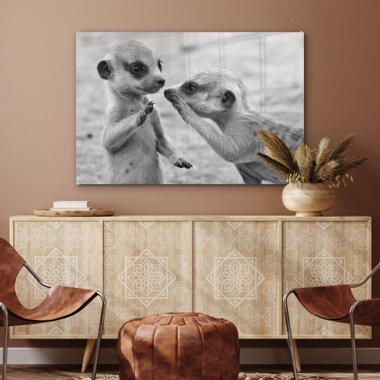 MuchoWow® Peinture sur verre 120x80 cm - Peinture acrylique sur verre - Deux suricates - noir et blanc - Photo sur verre - Peintures