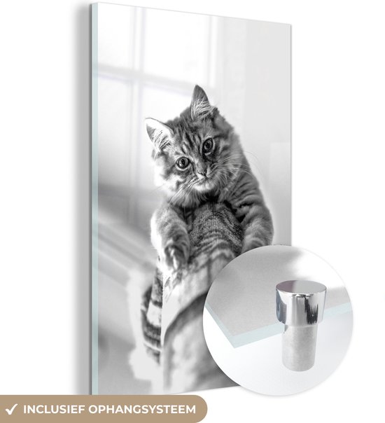 MuchoWow® Glasschilderij 60x90 cm - Schilderij acrylglas - Nieuwsgierige kat op krabpaal - zwart wit - Foto op glas - Schilderijen