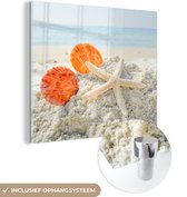 MuchoWow® Glasschilderij 20x20 cm - Schilderij acrylglas - Strand - Schelpen - Zeester - Foto op glas - Schilderijen