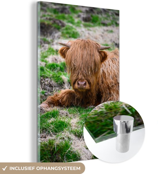MuchoWow® Peinture sur verre - Highlander écossais - Foin - Herbe - 100x150 cm - Peintures sur verre acrylique - Photo sur Glas
