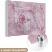MuchoWow® Peinture sur verre 120x80 cm - Peinture sur verre acrylique - Gros plan et vue de dessus d'une pivoine rose - Photo sur verre - Peintures
