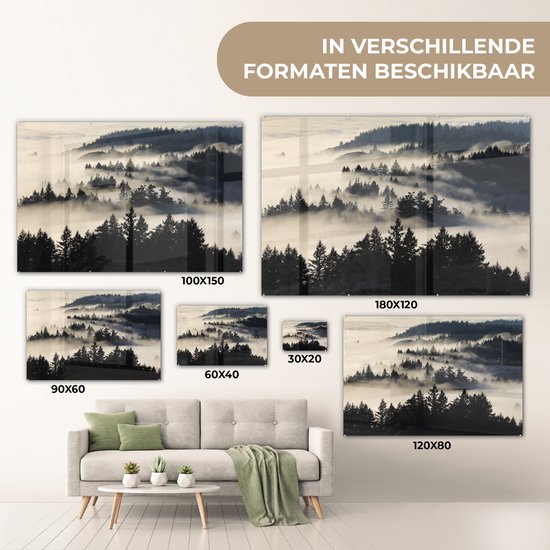 MuchoWow® Peinture sur Verre - Illustration Zwart& Blanc de Redwood dans le Brouillard - 90x60 cm - Peintures sur Verre Acrylique - Photo sur Glas