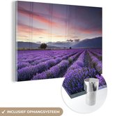 MuchoWow® Glasschilderij 60x40 cm - Schilderij acrylglas - Een prachtig lavendelveld bij zonsondergang - Foto op glas - Schilderijen
