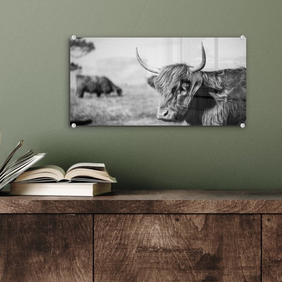 Zwart-wit glasafbeelding van een Schotse Hooglander met lange hoorns, op een groene muur.