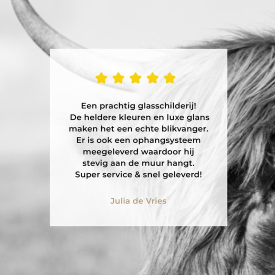 Close-up van een Schotse Hooglander met tekst en sterren.