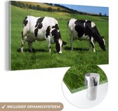 MuchoWow® Glasschilderij 80x40 cm - Schilderij glas - Koe - Dieren - Gras - Foto op acrylglas - Schilderijen