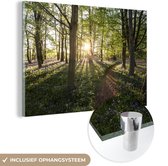 MuchoWow® Glasschilderij 120x80 cm - Schilderij acrylglas - Bos - Boom - Zon - Foto op glas - Schilderijen