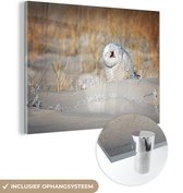 MuchoWow® Glasschilderij 40x30 cm - Schilderij acrylglas - Uil - Sneeuw - Duin - Foto op glas - Schilderijen