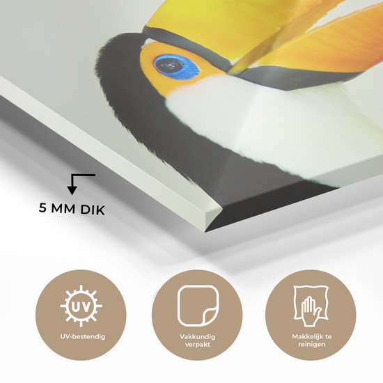 Peinture sur verre - la tête d'un toucan - 180x120 cm - Peintures sur Verre Peintures - Photo sur Glas