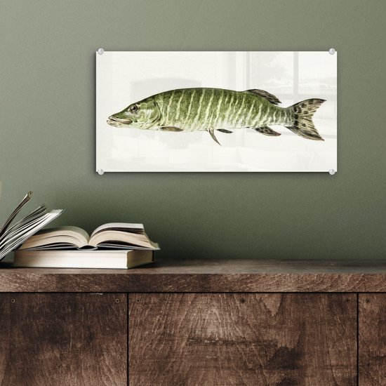 MuchoWow® Peinture sur Verre - Brochet - Peinture de Jean Bernard - 40x20 cm - Peintures sur Verre Acrylique - Photo sur Glas