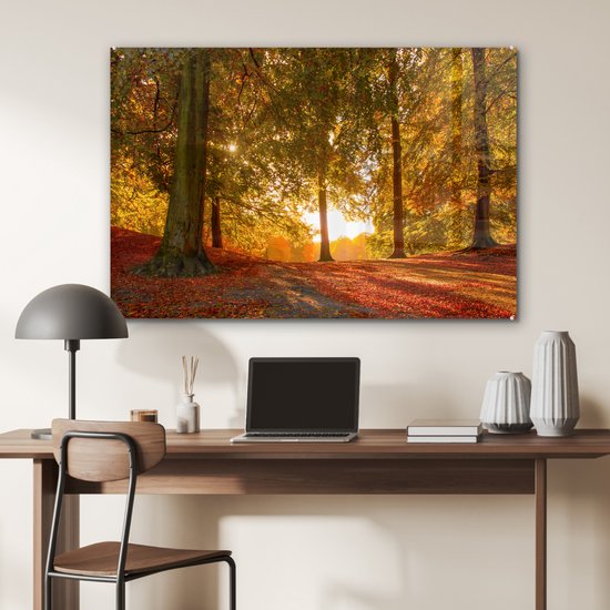 MuchoWow® Glasschilderij 120x80 cm - Schilderij acrylglas - Herfst - Zon - Bos - Foto op glas - Schilderijen