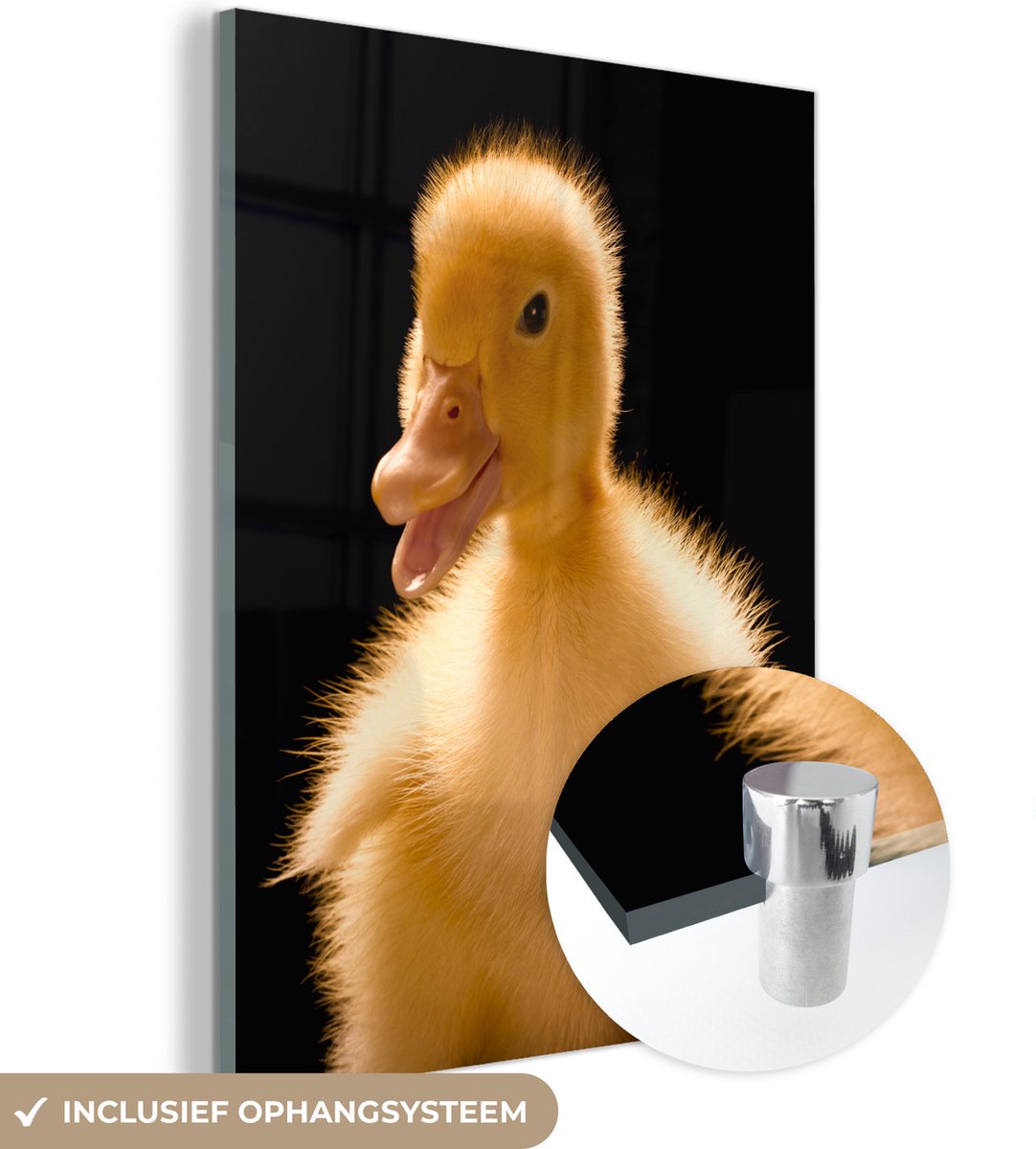 ® Glasschilderij 60x80 cm - Schilderij acrylglas - Pratende baby eend - Foto op glas - Muurdecoratie woonkamer - Wanddecoratie slaapkamer - Schilderijen