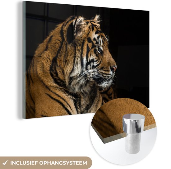 Peinture sur Verre - Tigre - Tête d'Animal - Zwart - 90x60 cm - Peintures sur Verre Peintures - Photo sur Glas