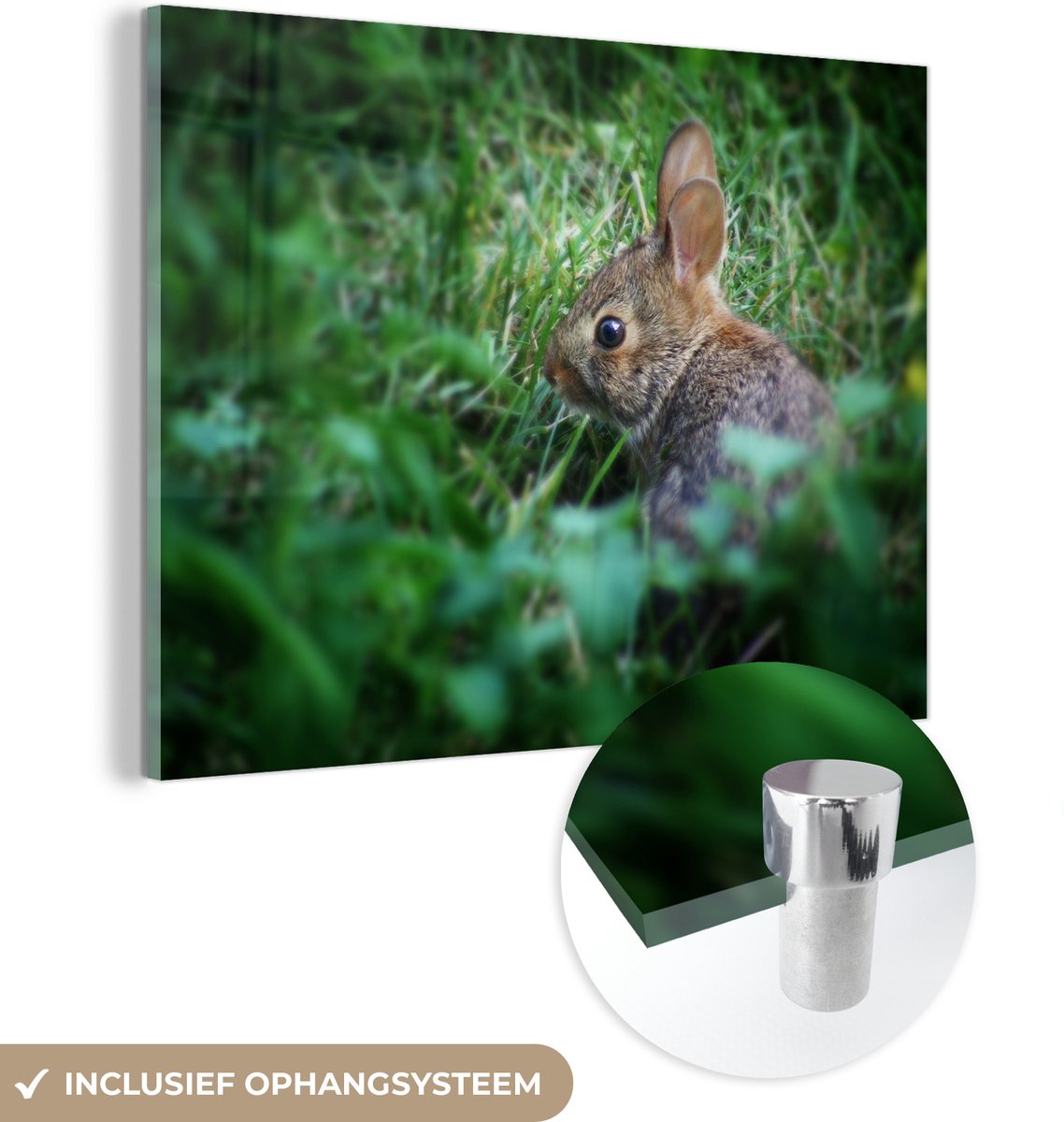 ® Glasschilderij 80x60 cm - Schilderij acrylglas - Konijn - Baby - Gras - Foto op glas - Muurdecoratie woonkamer - Wanddecoratie slaapkamer - Schilderijen