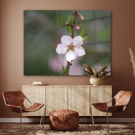 MuchoWow® Peinture sur verre - Bloem d'amandier - 160x120 cm - Peintures sur verre acrylique - Photo sur Glas