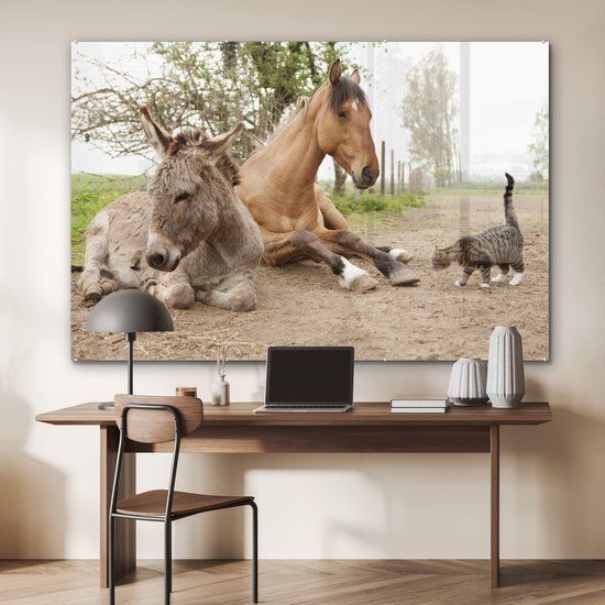 Peinture sur Verre - Âne Chat et Cheval sur Chemin de Terre - 180x120 cm - Peintures sur Verre Peintures - Photo sur Glas