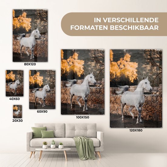 ® Glasschilderij 20x30 cm - Schilderij acrylglas - Paard - Wit - Boom - Zon - Foto op glas - Muurdecoratie woonkamer - Wanddecoratie slaapkamer - Schilderijen