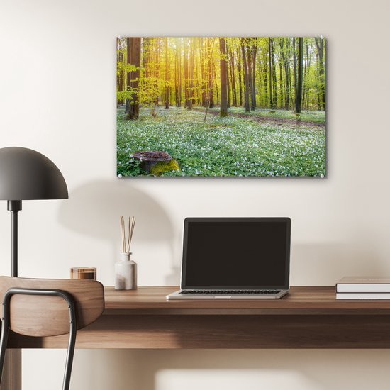 MuchoWow® Peinture sur verre 60x40 cm - Peinture acrylique sur verre - Forêt verte illuminée par des rayons de lumière - Photo sur verre - Peintures
