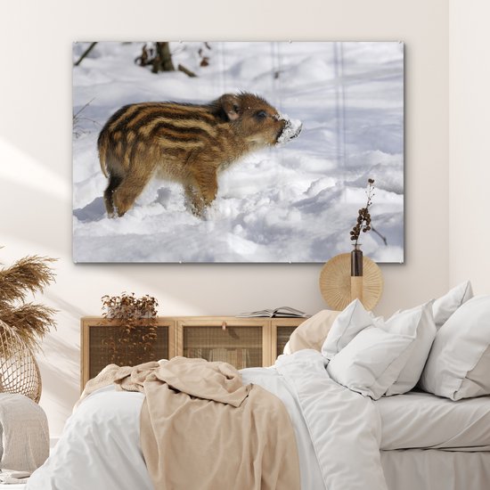 Peinture sur Verre - Sanglier - Animal - Neige - 150x100 cm - Peintures sur Verre Peintures - Photo sur Glas
