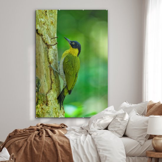 MuchoWow® Peinture sur verre 100x150 cm - Peinture sur verre acrylique - Un beau pic terrestre à fourrure jaune grimpe verticalement sur un arbre - Photo sur verre - Peintures