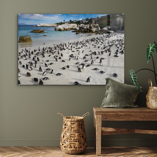 Een groep pinguïns op een zandstrand bij de oceaan, met rotsen en huizen op de achtergrond.