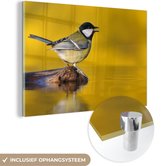 MuchoWow® Glasschilderij 60x40 cm - Schilderij acrylglas - Koolmees - Vogel - Water - Foto op glas - Schilderijen