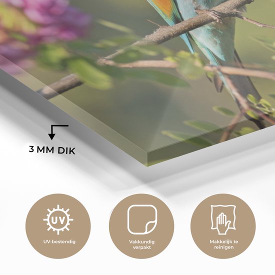 MuchoWow® Peinture sur verre 60x40 cm - Peinture sur verre acrylique - Vogel - Guêpier - Fleurs - Photo sur verre - Peintures